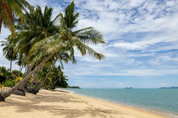 Quelles ressources utiliser pour apprendre sur la culture locale lors de votre séjour en location ?