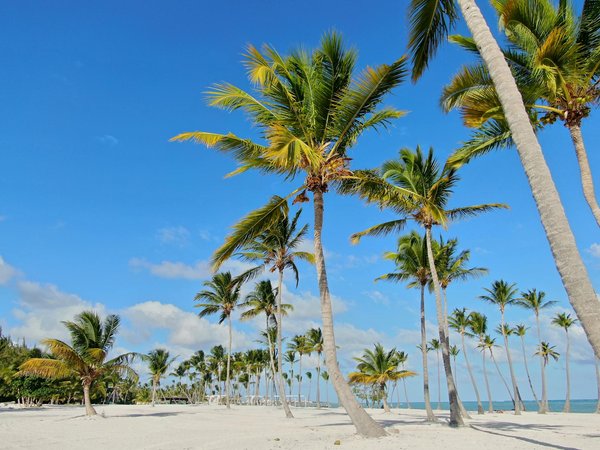 Les différents types de croisières sur la Seine