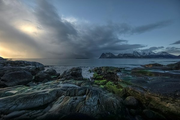 Comment intégrer des expériences culturelles locales dans votre séjour en location ?