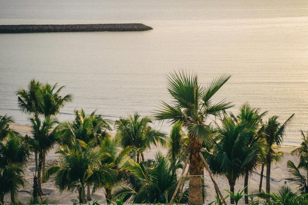 Quelles sont les meilleures astuces pour voyager avec des enfants en bas âge ?